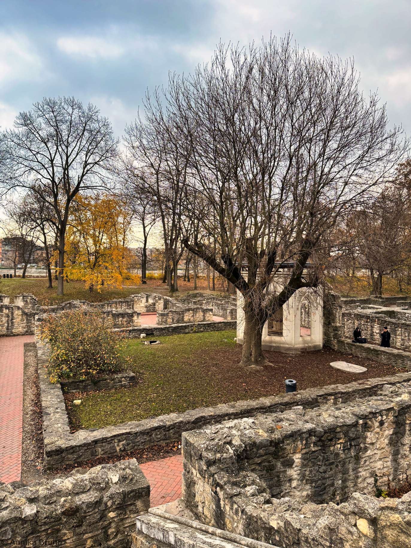 Medieval Dominican Convent and Royal Mansion